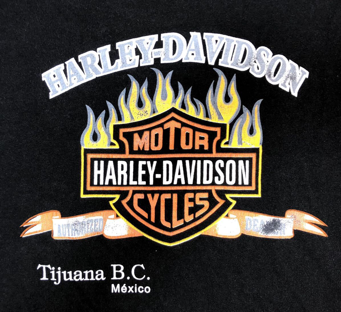 Harley Davidson Flame ビンテージ ロンT ロングスリーブ T Harley Davidson Flame ビンテージ ロンT ロングスリーブ T