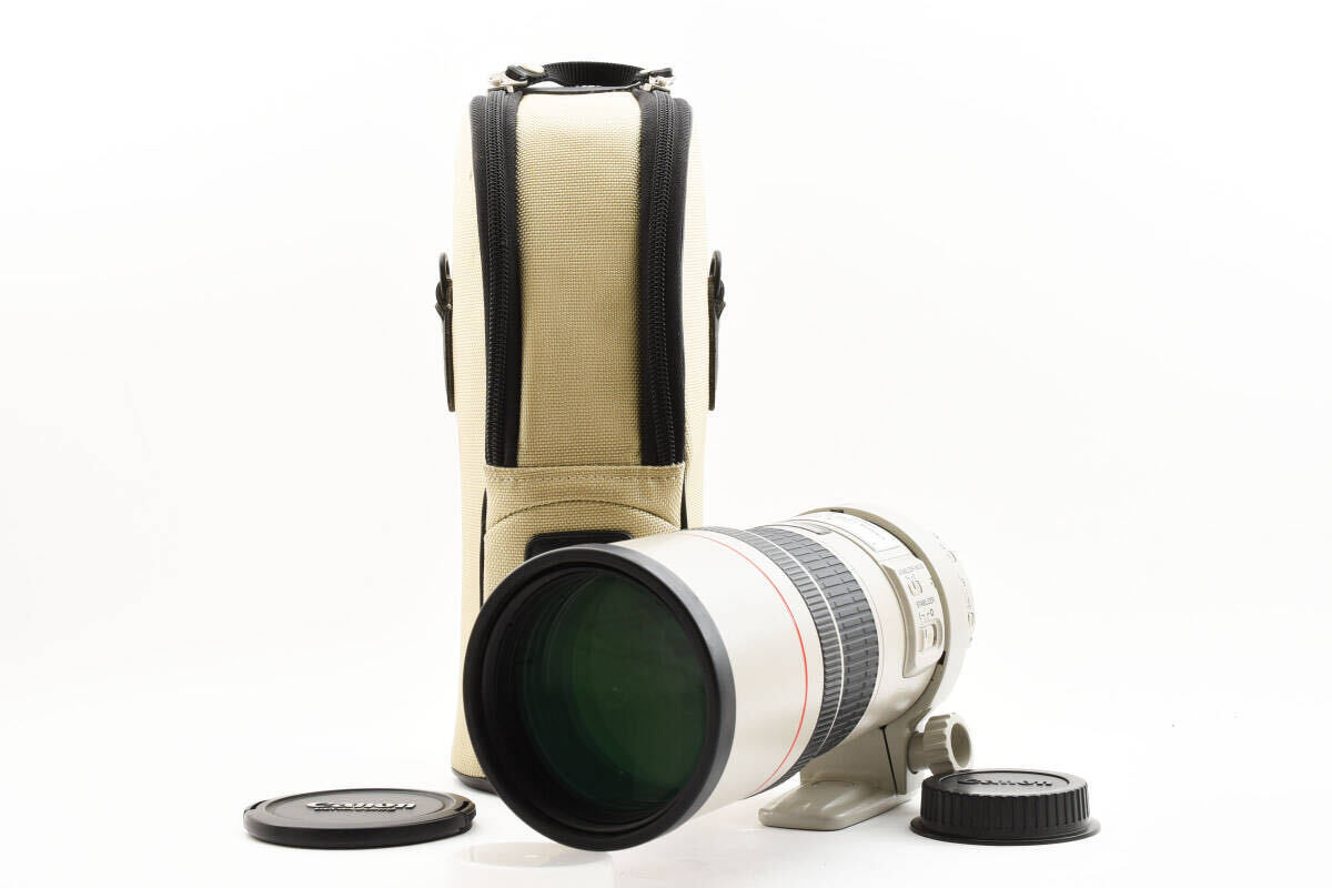 Canon キャノン EF300mm F4L IS USM 大口径 単焦点望遠レンズ キヤノン EFマウント 【現状品】 #2056