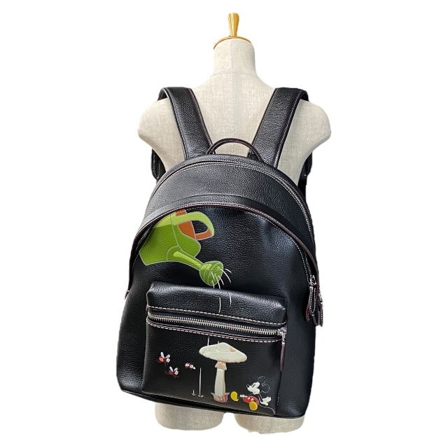 限定品】COACH コーチ L2280 CG973 ディズニーコラボ チャーター 限定品】COACH コーチ L2280 CG973 ディズニーコラボ チャーター