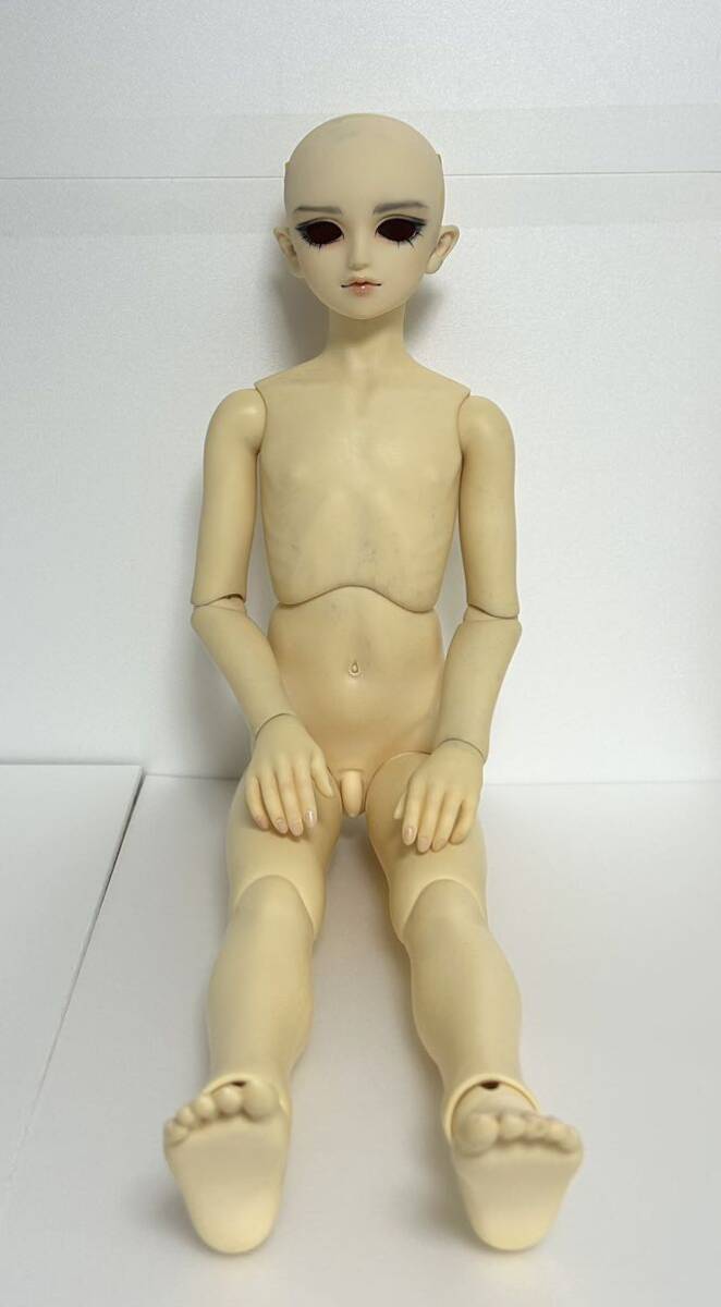 【即納&大特価】 Yahoo!オークション フル F-19 スーパードルフィー13男の子 - 人形