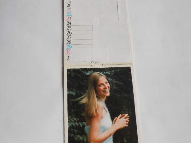  бесплатная доставка * Alain Delon специальный выпуск 1*[ солнце . много ** видеолента * жакет ( Beta версия )*1976 год календарь * др. ]* ценный . материалы . большое количество #