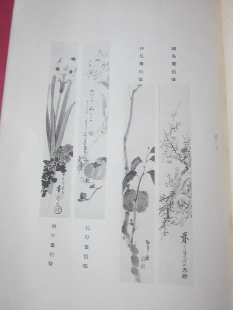 四清の印譜 櫻井松僊・松野石心・神尾翠岳・福島閑雲 （長野