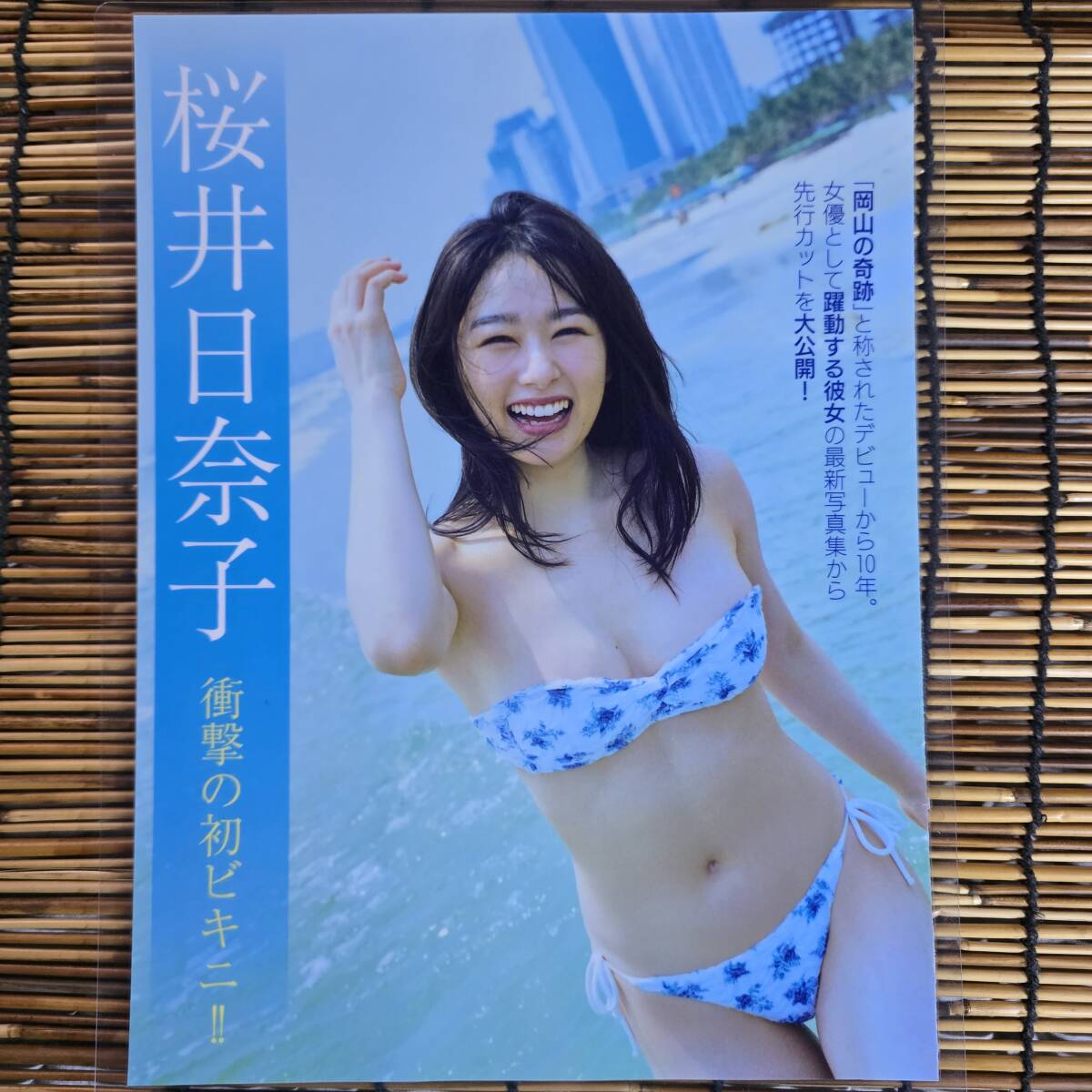 Yahoo!オークション - 【高品質厚手150μラミネート加工】桜井