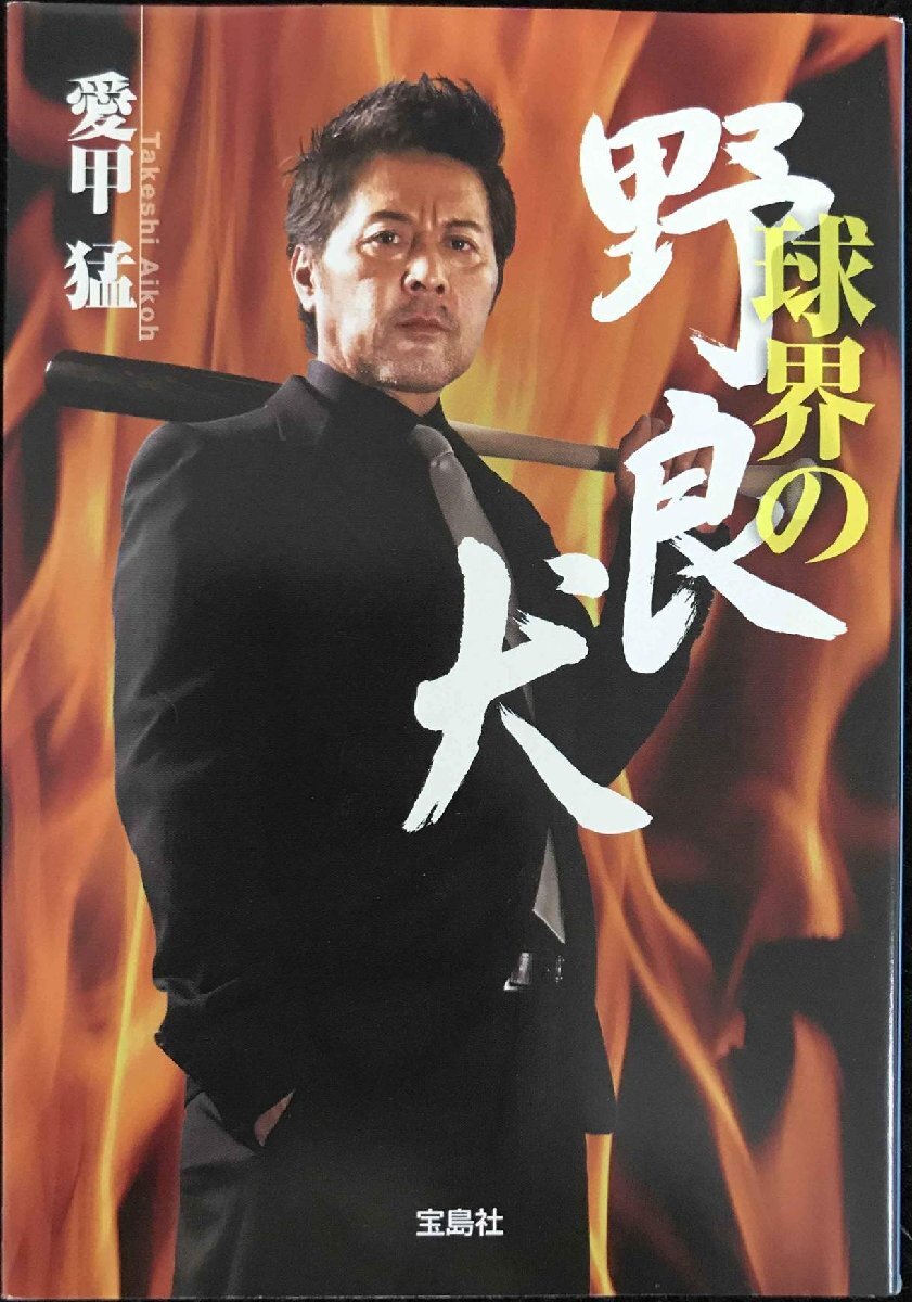 球界の野良犬 (宝島SUGOI文庫) (宝島SUGOI文庫 A あ 6-1)