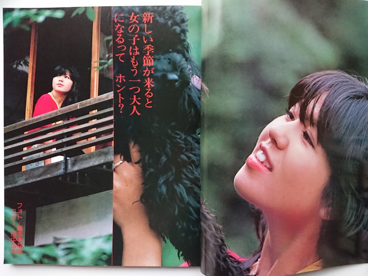 昭和55年近代映画ハロー秋の号 19歳 石野真子パート6/24時間 昭和55年近代映画ハロー秋の号 19歳 石野真子パート6/24時間