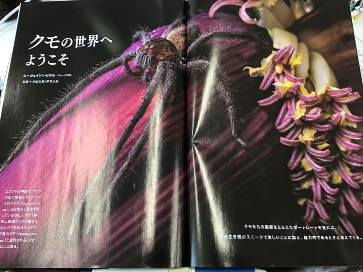 item_image_10