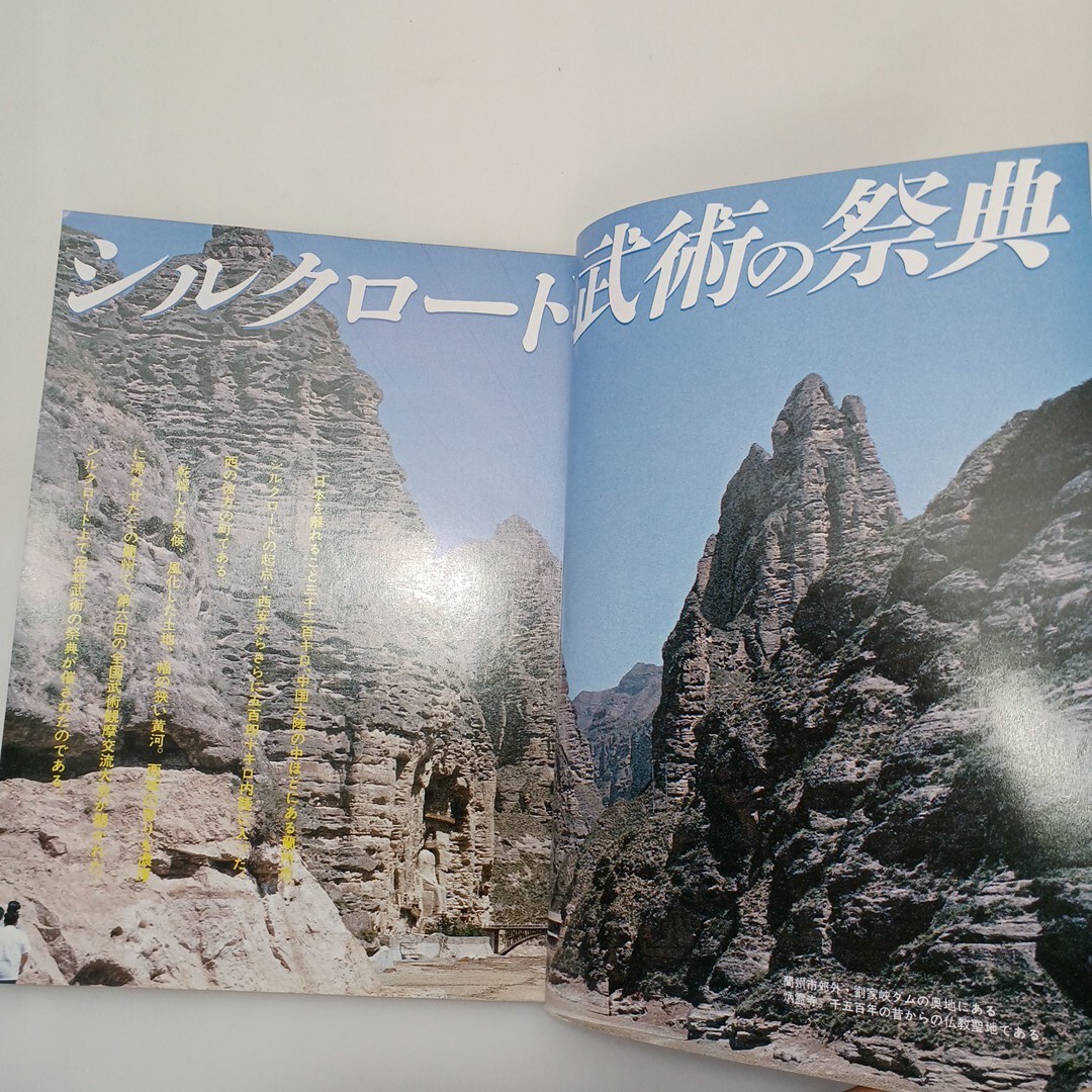 zaa-609 武術 うーしゅう 武術と太極拳の専門誌 1984年季刊七秋 zaa-609 武術 うーしゅう 武術と太極拳の専門誌 1984年季刊七秋