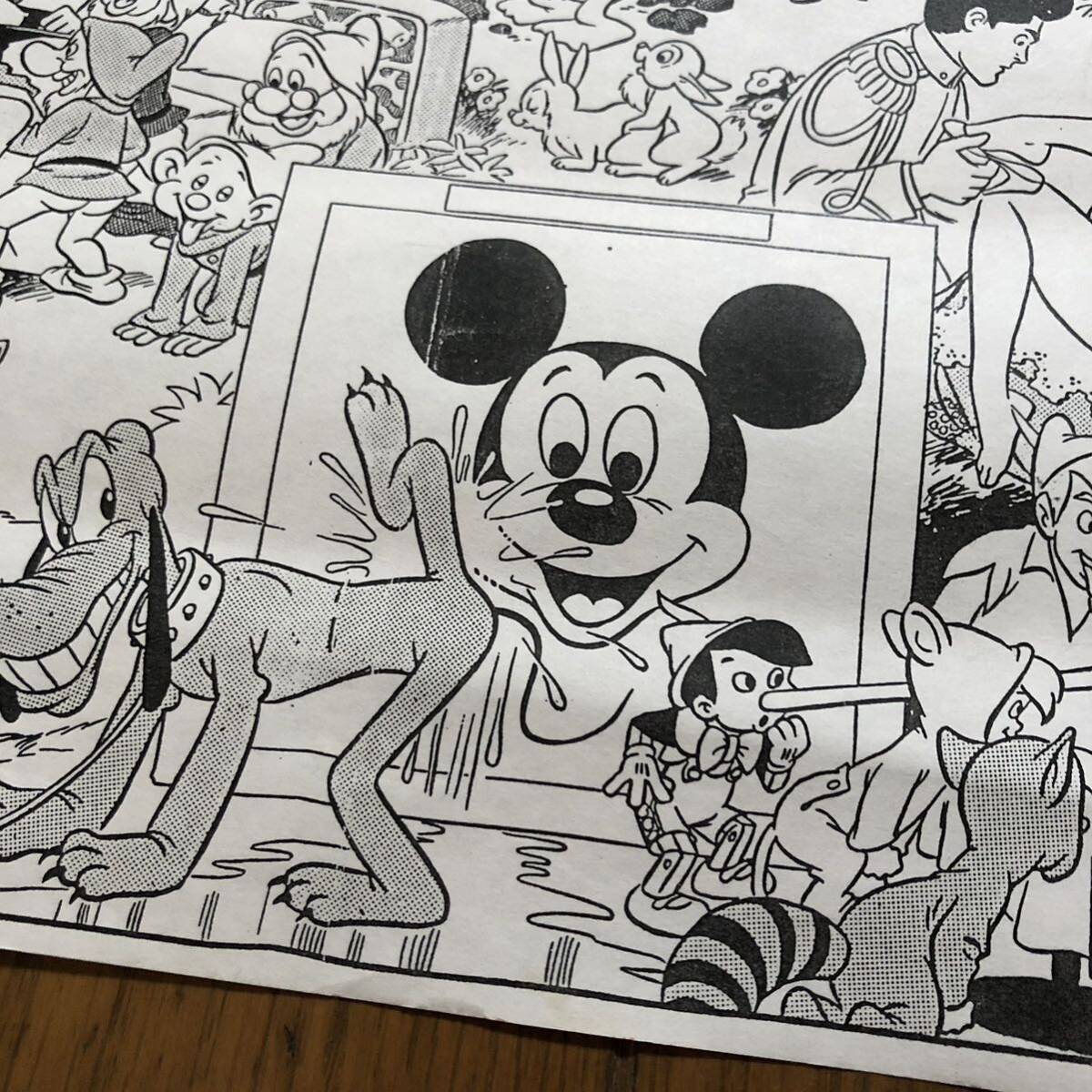 ビンテージ Disneyland Memorial Orgy ディズニーランド ビンテージ Disneyland Memorial Orgy ディズニーランド