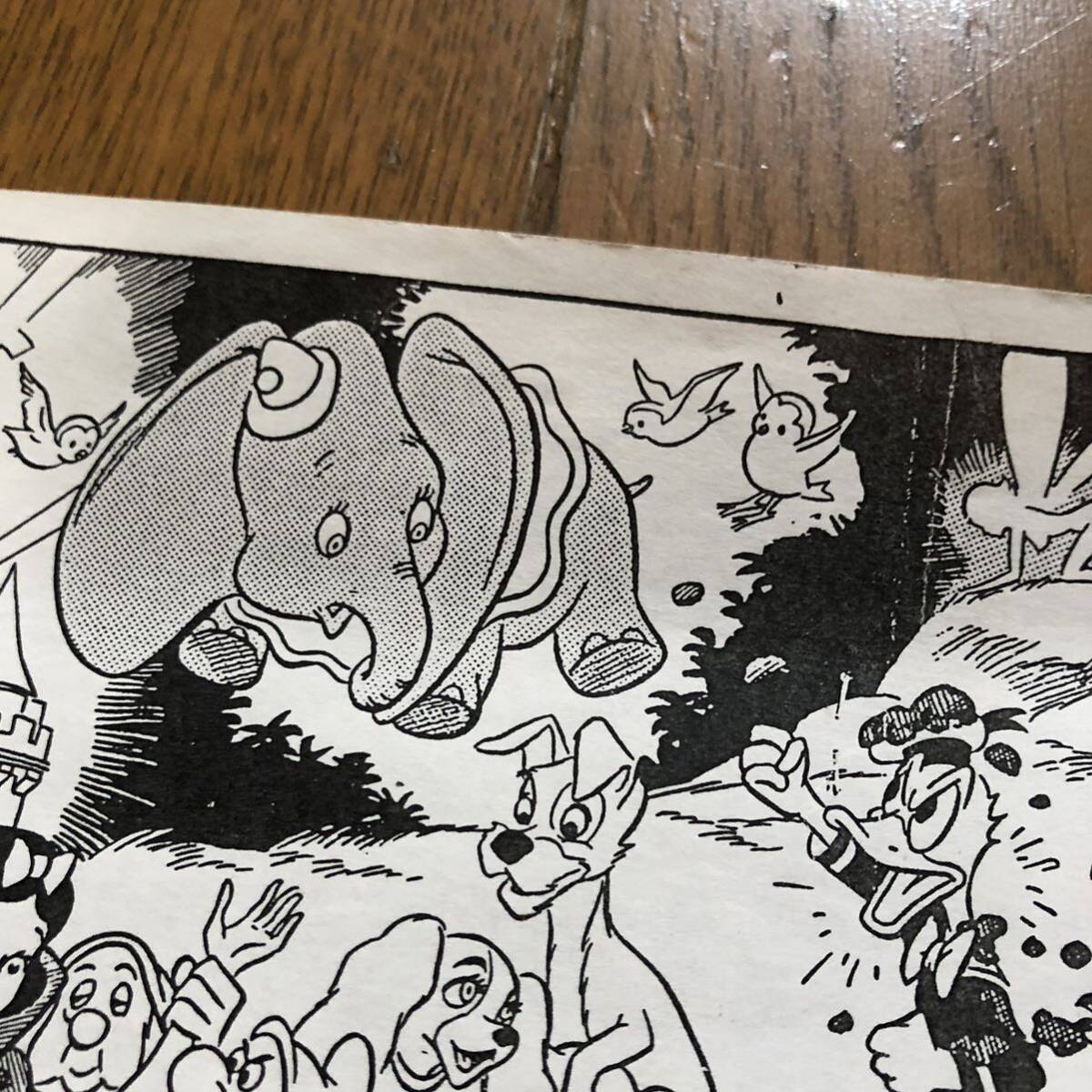 ビンテージ Disneyland Memorial Orgy ディズニーランド ビンテージ Disneyland Memorial Orgy ディズニーランド