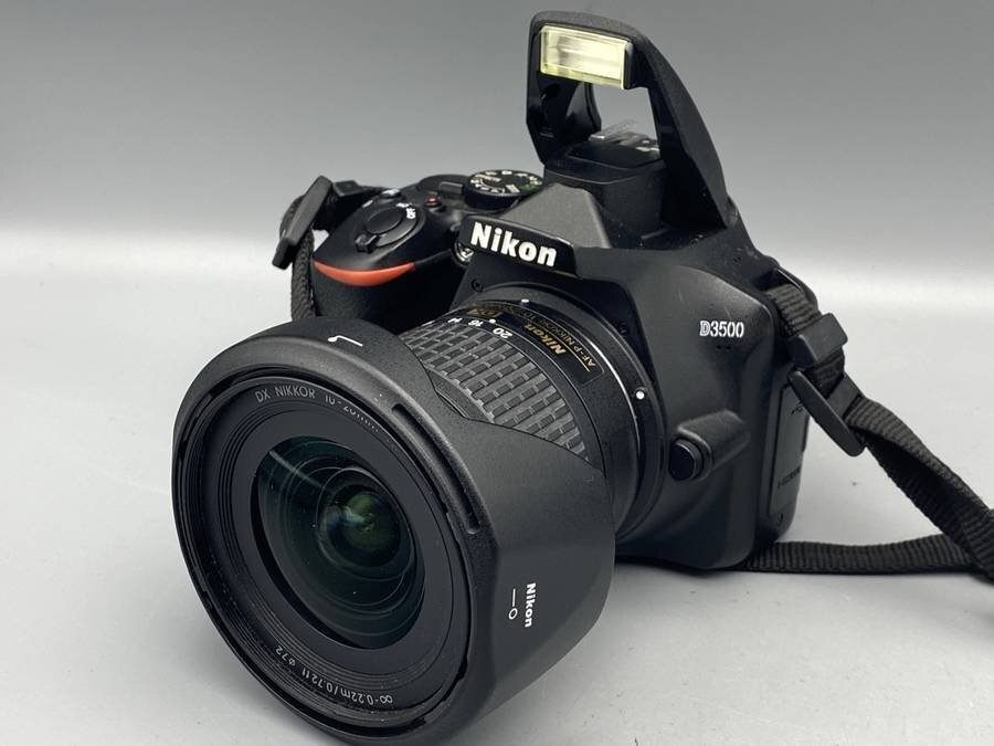 Nikon D3500 DX NIKKOR 10-20mm VR デジタル一眼レフカメラ セット■現状品