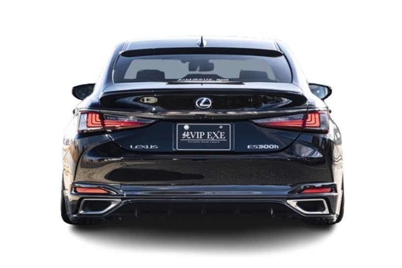 AIMGAIN 純VIP EXE LEXUS レクサス ES ES300h リアスポイラー リヤスポイラー 2018.10-2021.8 エイムゲイン リア リヤ スポイラー エアロ