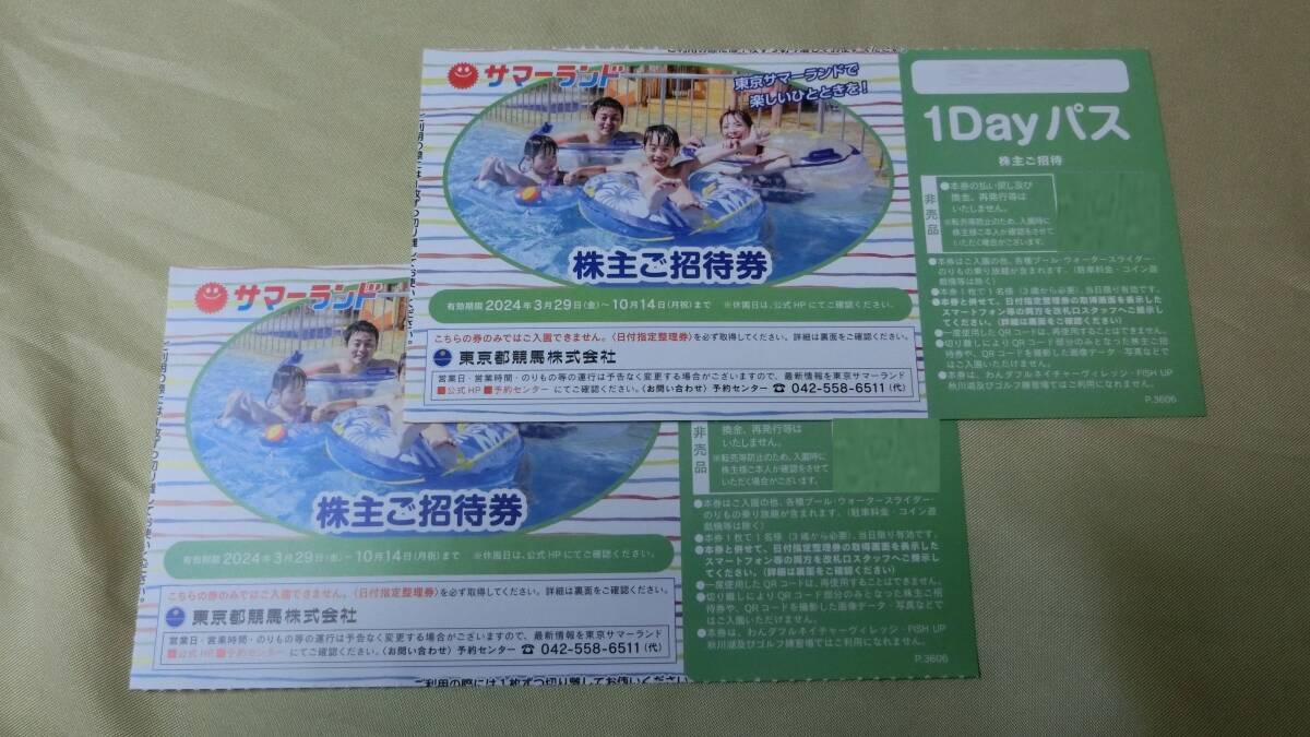 s2a■株主優待 東京サマーランド 1dayパス ２枚 フリーパス券★ワンデーパス★東京都競馬■★送料63円～