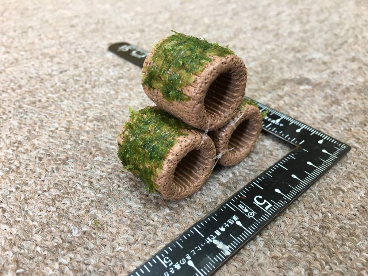 送料無料 BIGろ材3個(gè)ジャイアント南米ウィローモス?