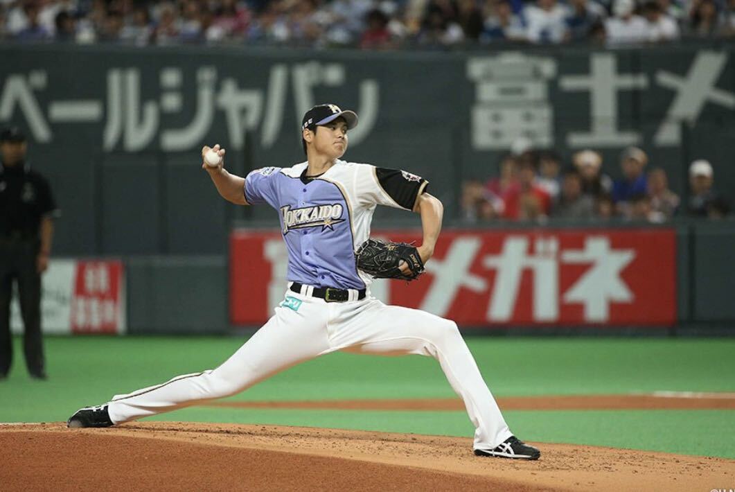 送料無料 即決 北海道日本ハムファイターズ 大谷翔平選手 送料無料 即決 北海道日本ハムファイターズ 大谷翔平選手
