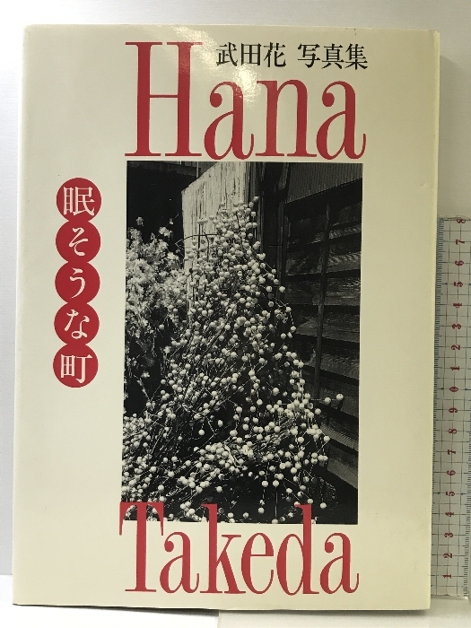 人気を誇る 武田花写真集 眠そうな町: アルファベータブックス 花 武田 デザイン