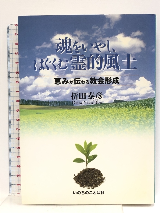 中国仏教史 第3・4巻 南北朝の仏教 上下揃い 鎌田茂雄 - 宗教学 中国仏教史 第3・4巻 南北朝の仏教 上下揃い 鎌田茂雄 - 宗教学