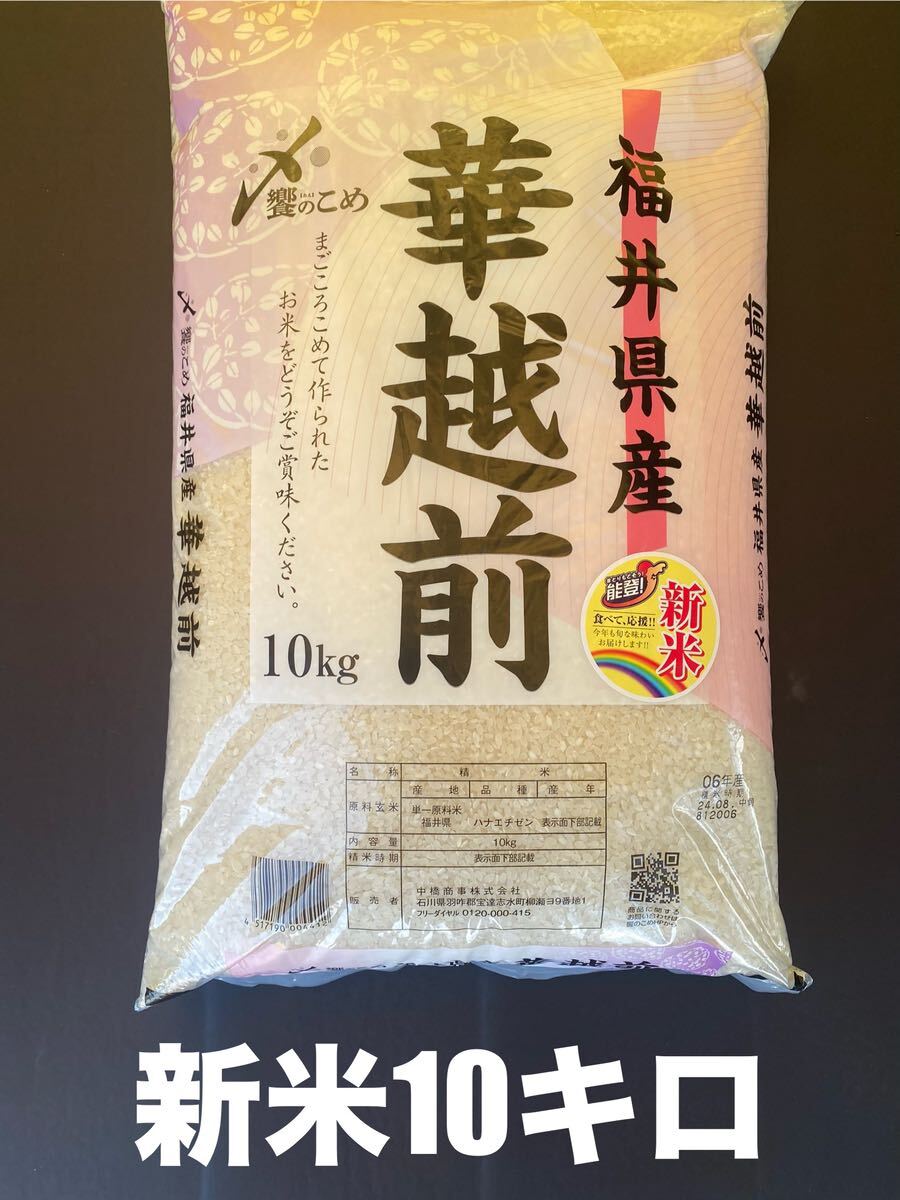 新米10キロ 令和6年産 8月中旬精米 華越前10kg 8月23日夜発送