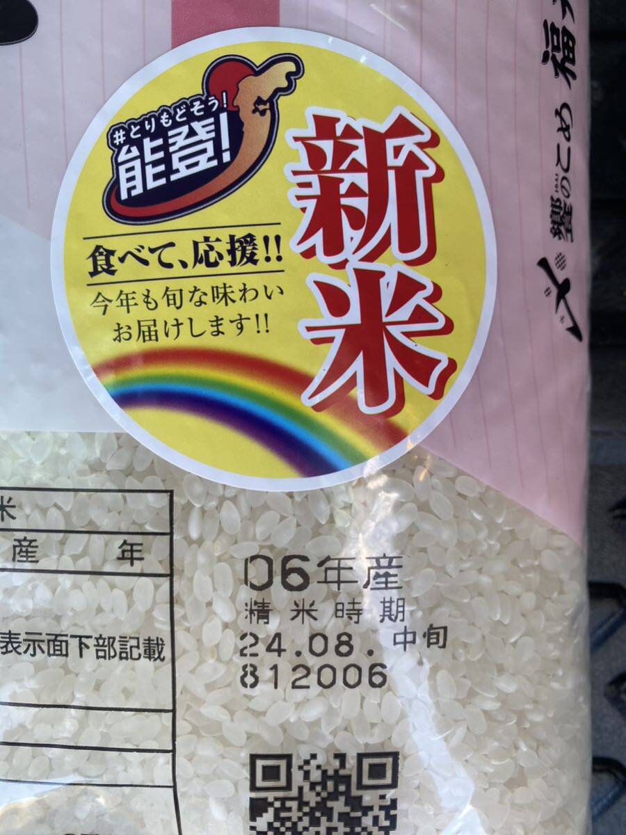 2024特集 新米10キロ（5キロ×2袋）令和6年産 8月中旬精米 華 お米10キロ 米・雑穀・粉類