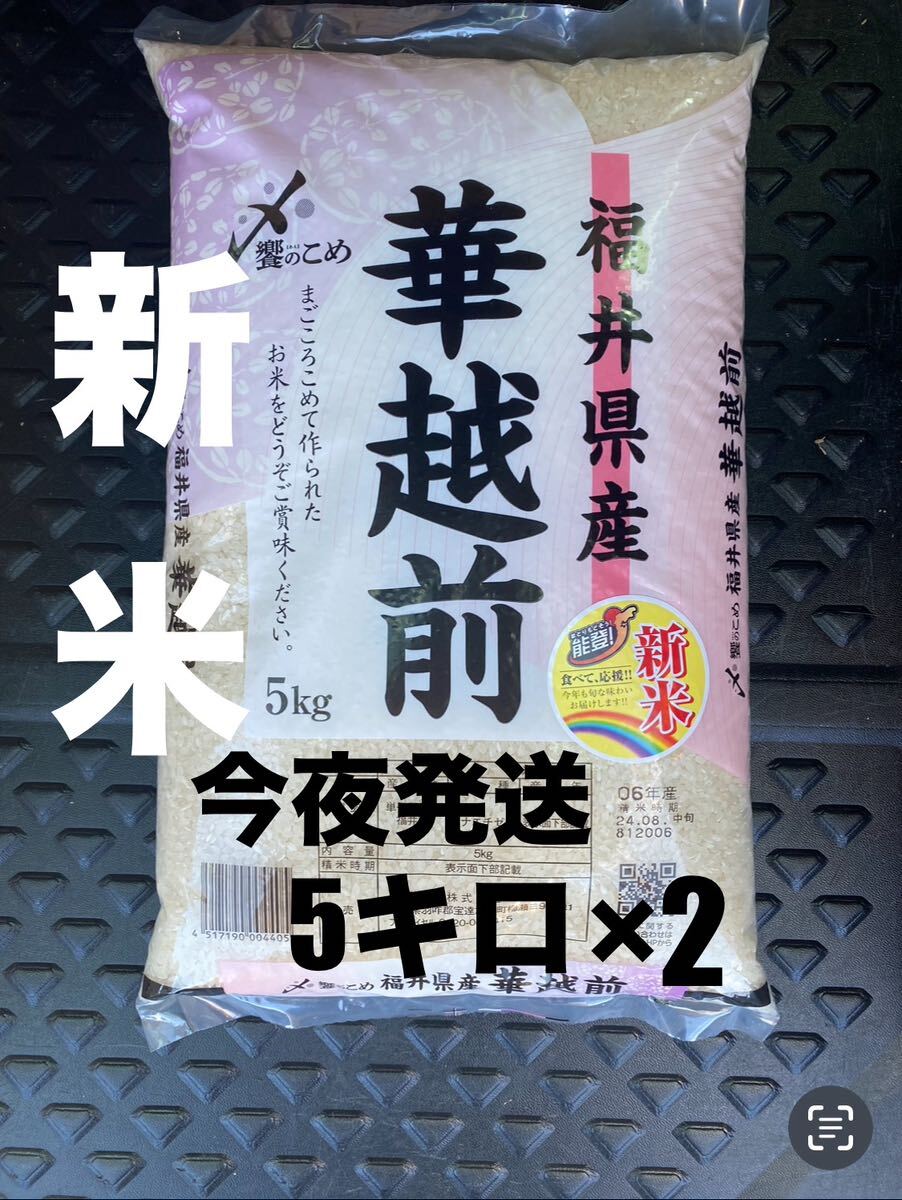 米 玄米 10kg 令和6年 新潟産 つきあかり 5kg×2袋 お米 10キロ