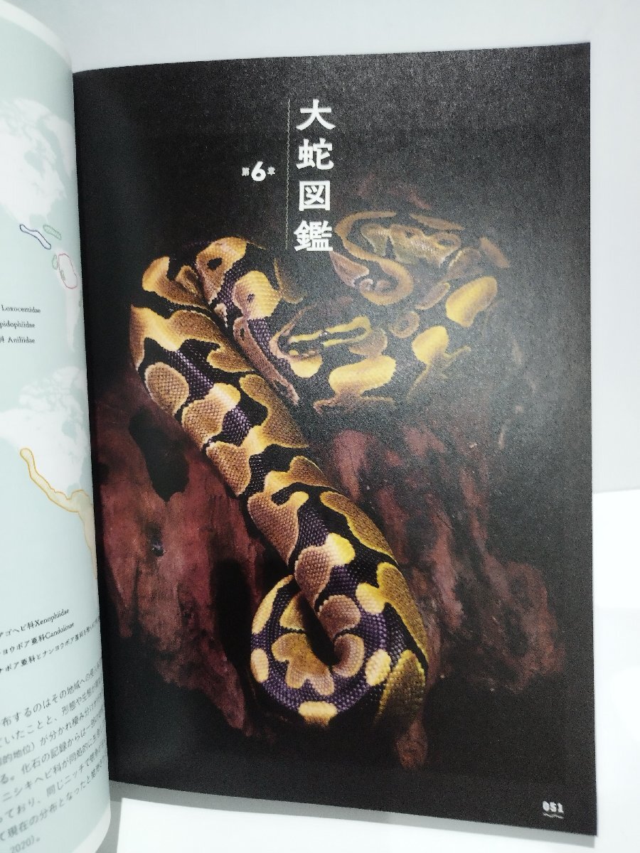 Amazon.co.jp: 毒ヘビ全書 : 田原 義太慶, 柴田 弘紀, 友永 達也