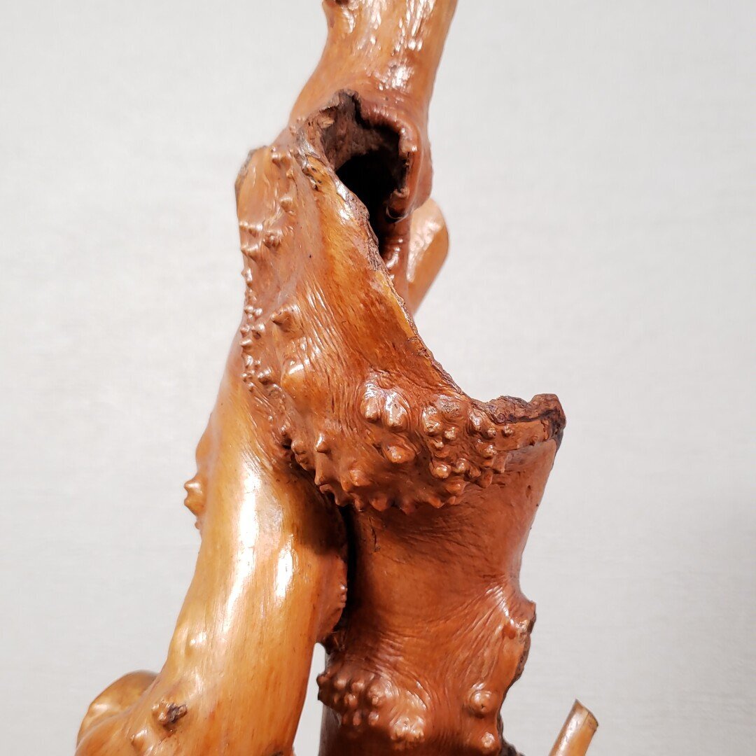 木の根 高さ43cm 瘤杢 天然木 置物 オブジェ 飾り物 インテリア 木の根 高さ43cm 瘤杢 天然木 置物 オブジェ 飾り物 インテリア
