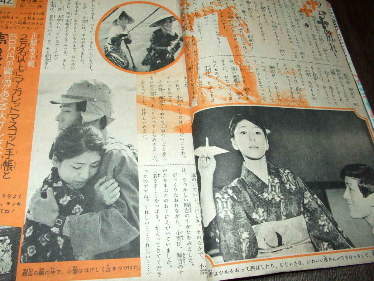 週刊マーガレット1966年42号◇表紙=吉永小百合&今井淳子/愛は山
