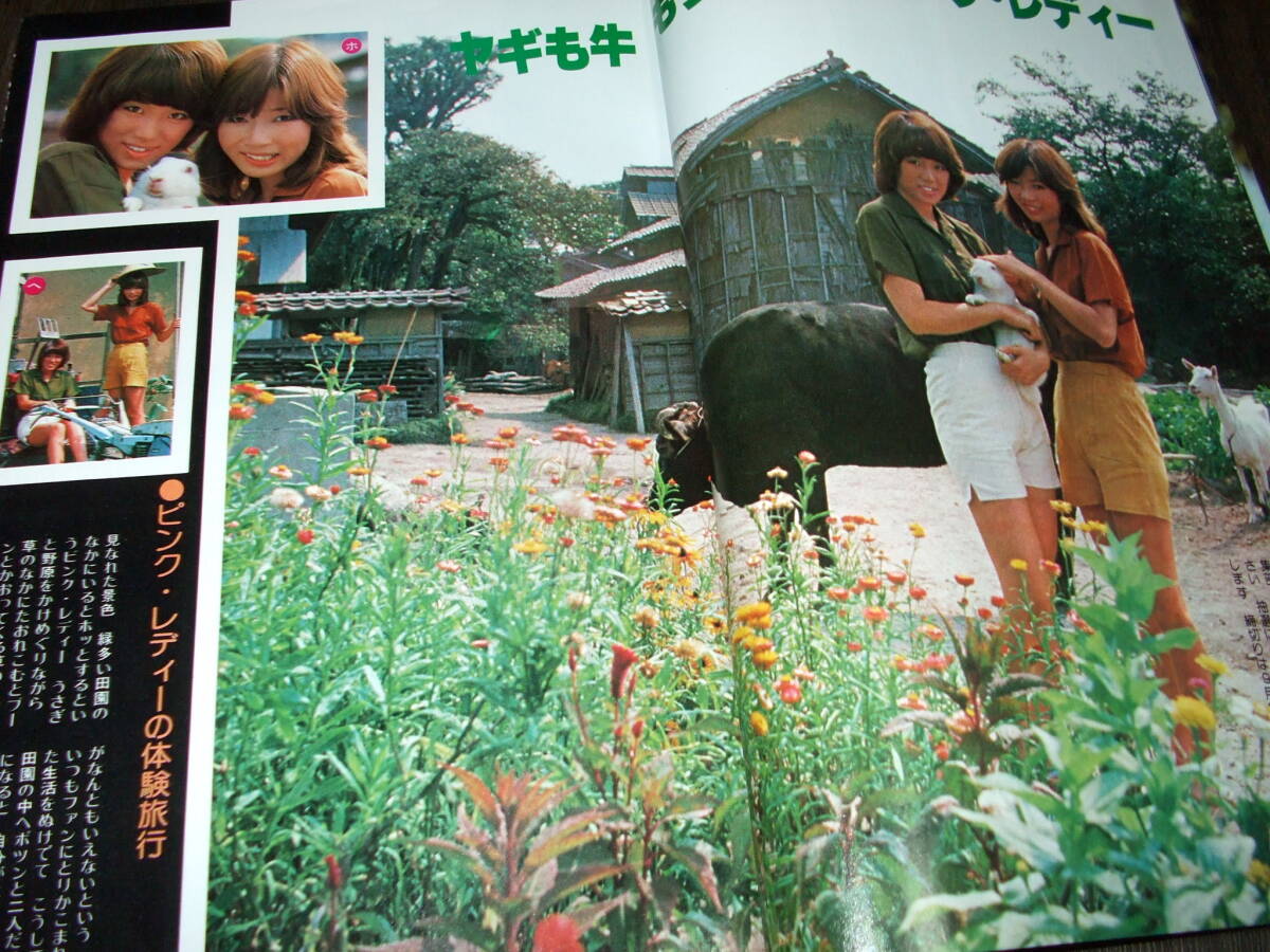 近代映画1977年10月号 桜田淳子/山口百恵&三浦友和/西城秀樹 近代映画1977年10月号 桜田淳子/山口百恵&三浦友和/西城秀樹