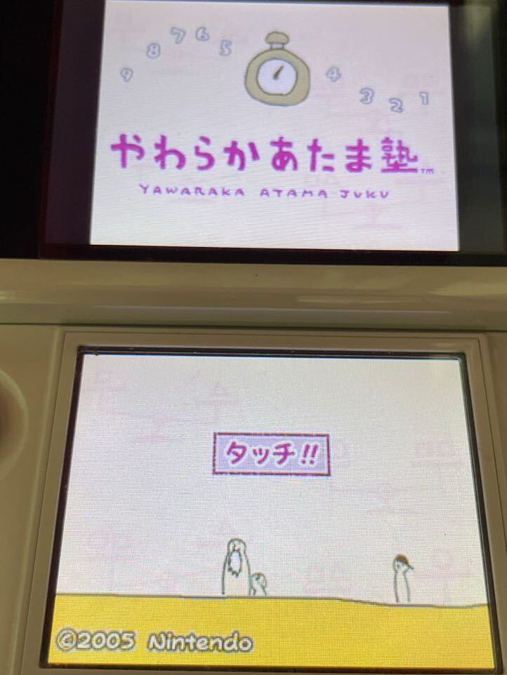 DS ソフト ニンテンドーDS やわらかあたま塾& ます×ます 百ます