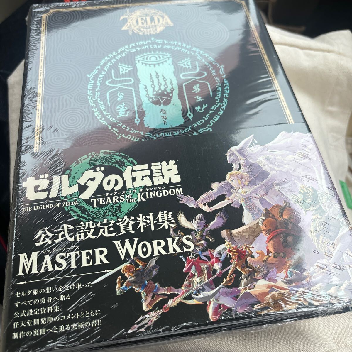 ゼルダの伝説 ティアーズ オブ ザ キングダム マスターワークス ゼルダの伝説 ティアーズ オブ ザ キングダム マスターワークス