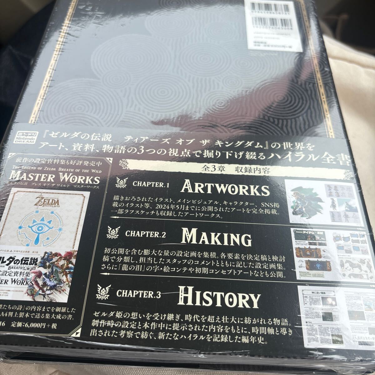 ゼルダの伝説 ティアーズ オブ ザ キングダム マスターワークス