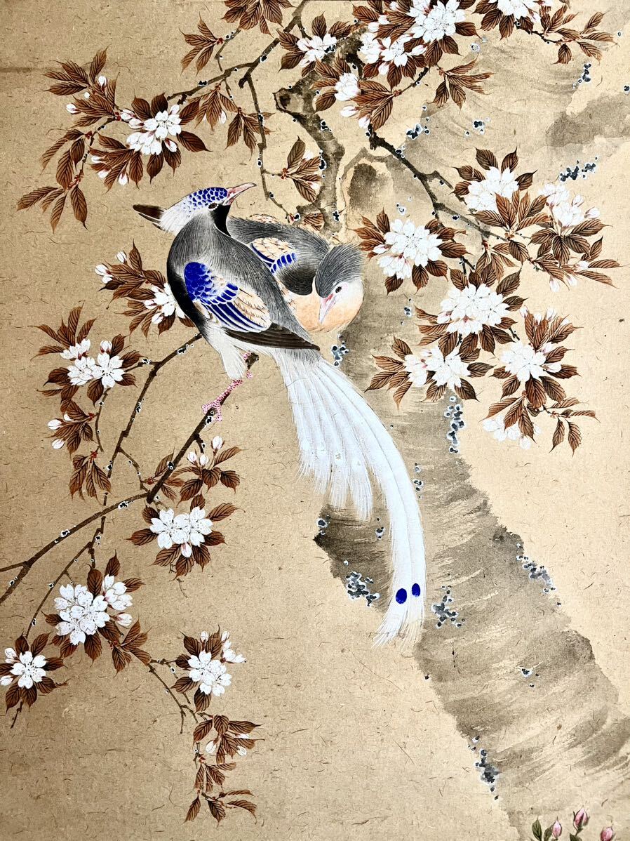 真作/橋口幾三郎/牡丹図/春の花図/ボタン図/横物/掛軸☆宝船☆AI