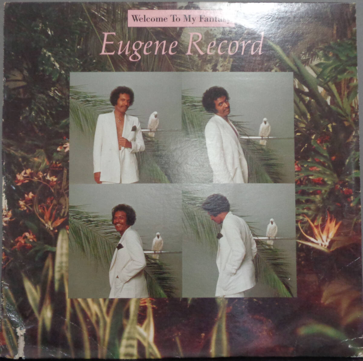 《SOUL/R&B LP》EUGENE RECORD - WELCOME TO MY FANTASY (sl240831018) *us original