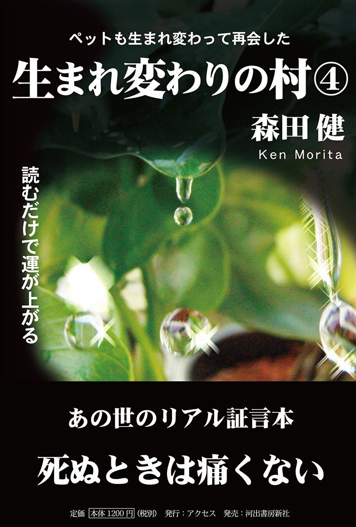 【中古】生まれ変わりの村 4