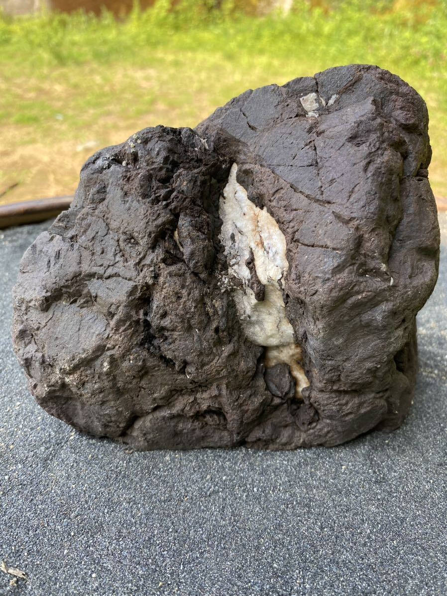 滝石 安倍川 紫晃石 自然石 水石 鑑賞石(盆栽)|売買された 滝石 安倍川 紫晃石 自然石 水石 鑑賞石(盆栽)|売買された