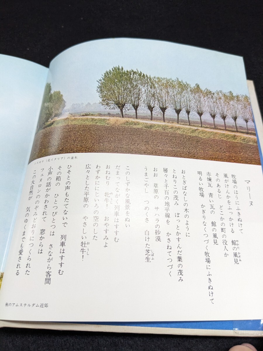 item_image_6