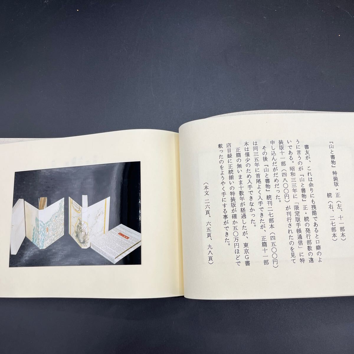 限定30部】『山書好日・写真集』日本山書の会東海集会 森田愛作