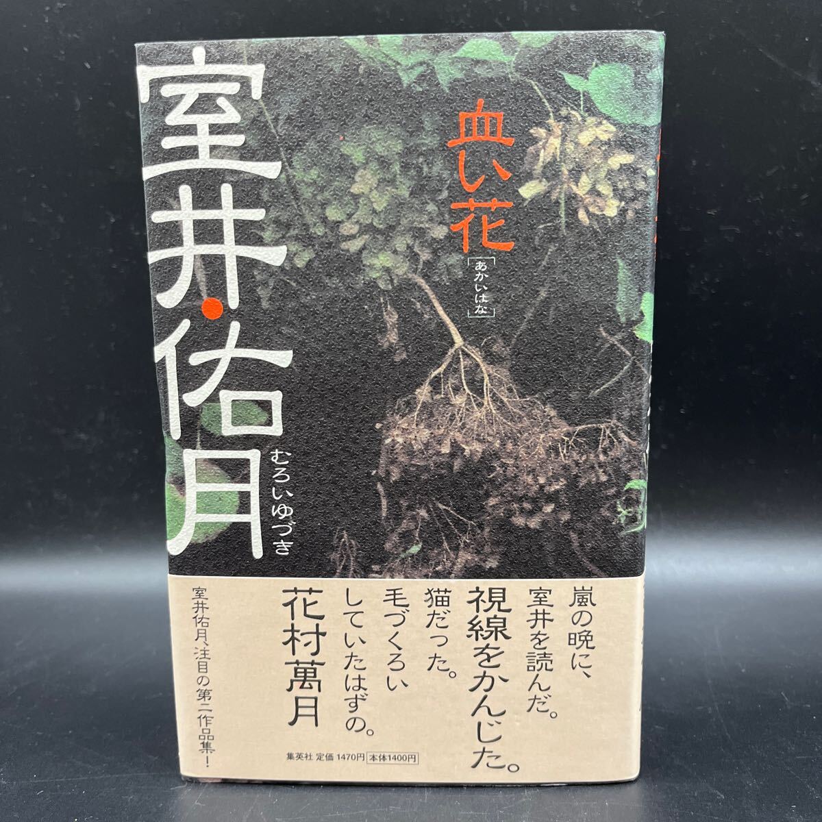 【署名本/落款/初版】室井佑月『血い花』帯付き サイン本 集英社