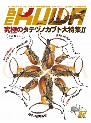 送料無料！代引き不可！ビークワ82号