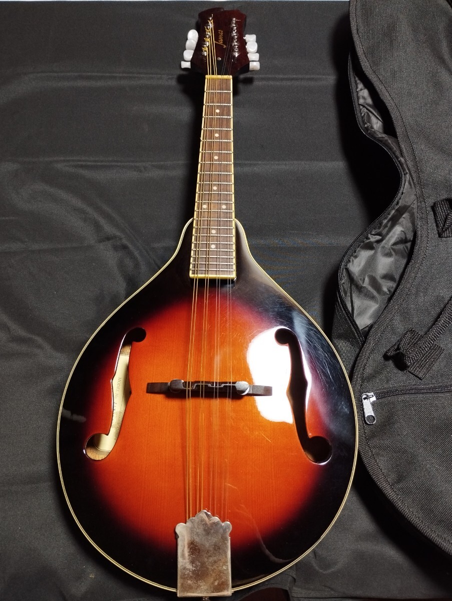 ジェームス James マンドリン JAM300BS ケース付き