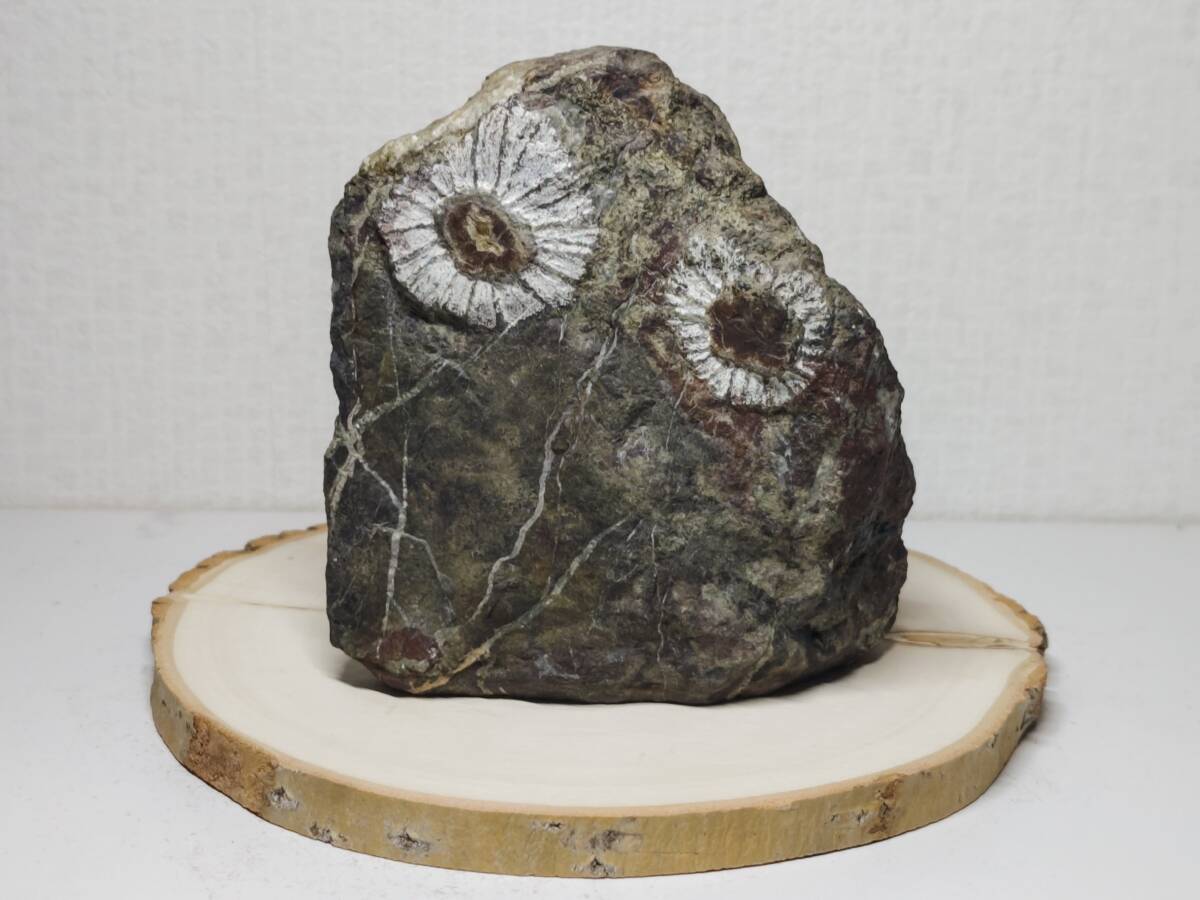 鑑賞石　置物　水石　自然石〈検 孔雀石 紋石 菊花石 梅花石 原石 鉱物 置石 鑑賞石 置物 水石 自然石〈検 孔雀石 紋石 菊花石 梅花石 原石