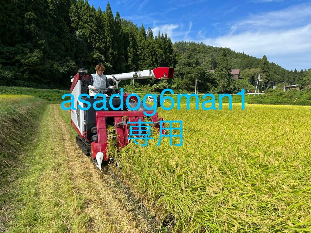 新米　岩船産コシヒカリ30キロ