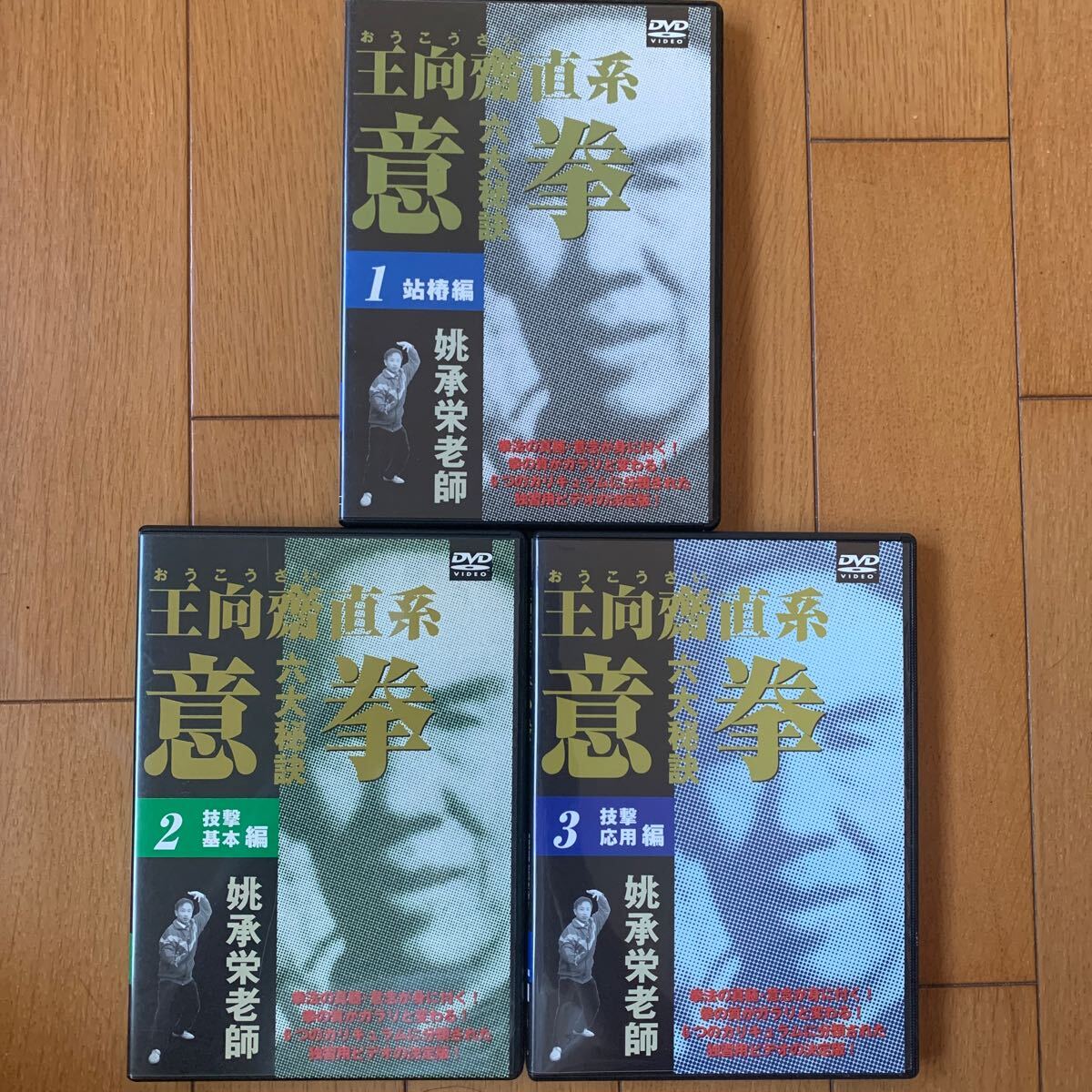 王向齋直系 意拳 六大秘訣　第1巻・第2巻・第3巻 DVD6巻セット 『王向齋直系 意拳 六大秘訣』（通販限定）