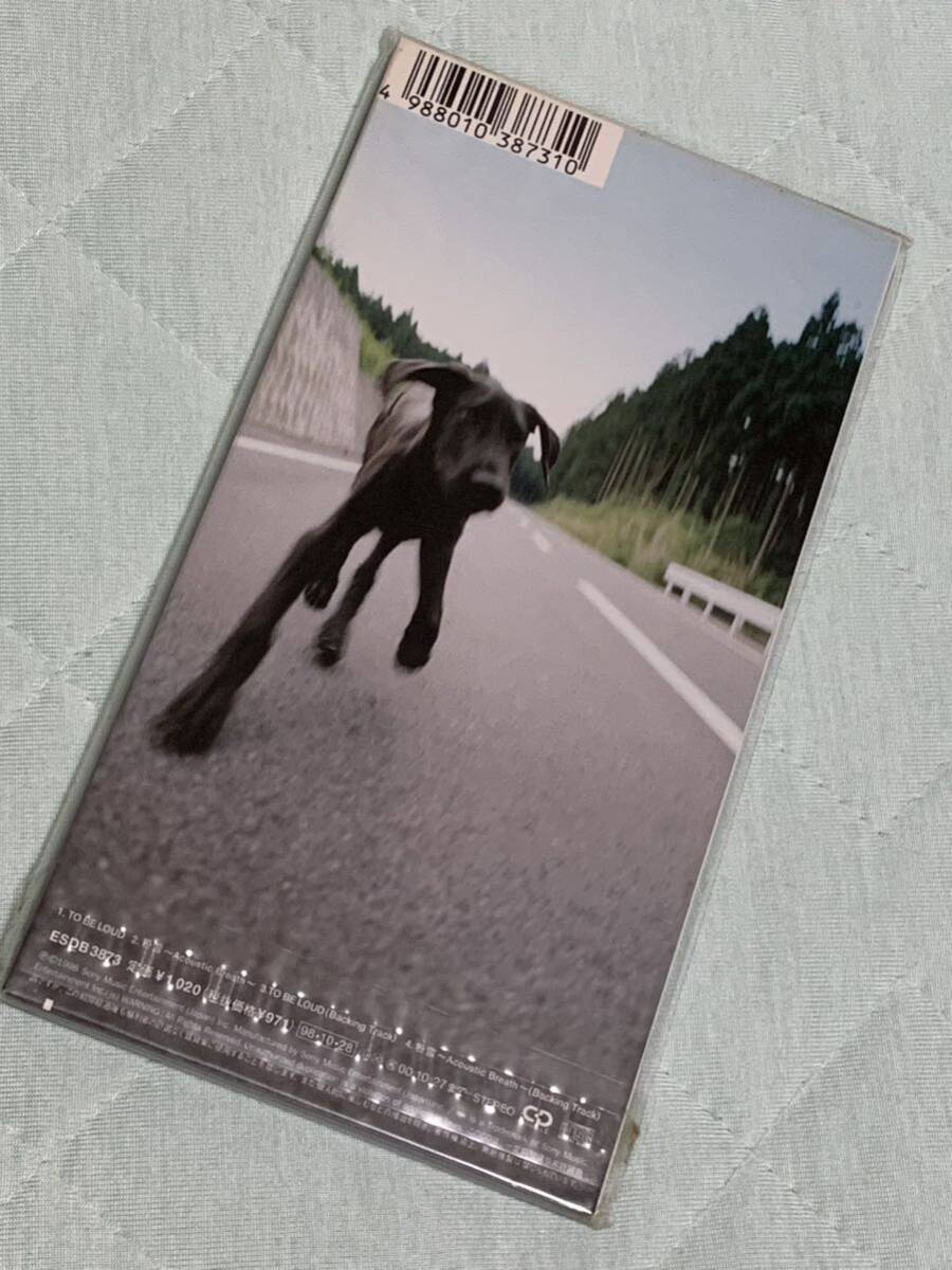 TO BE LOUD　CURIO　8cmCD 未開封品