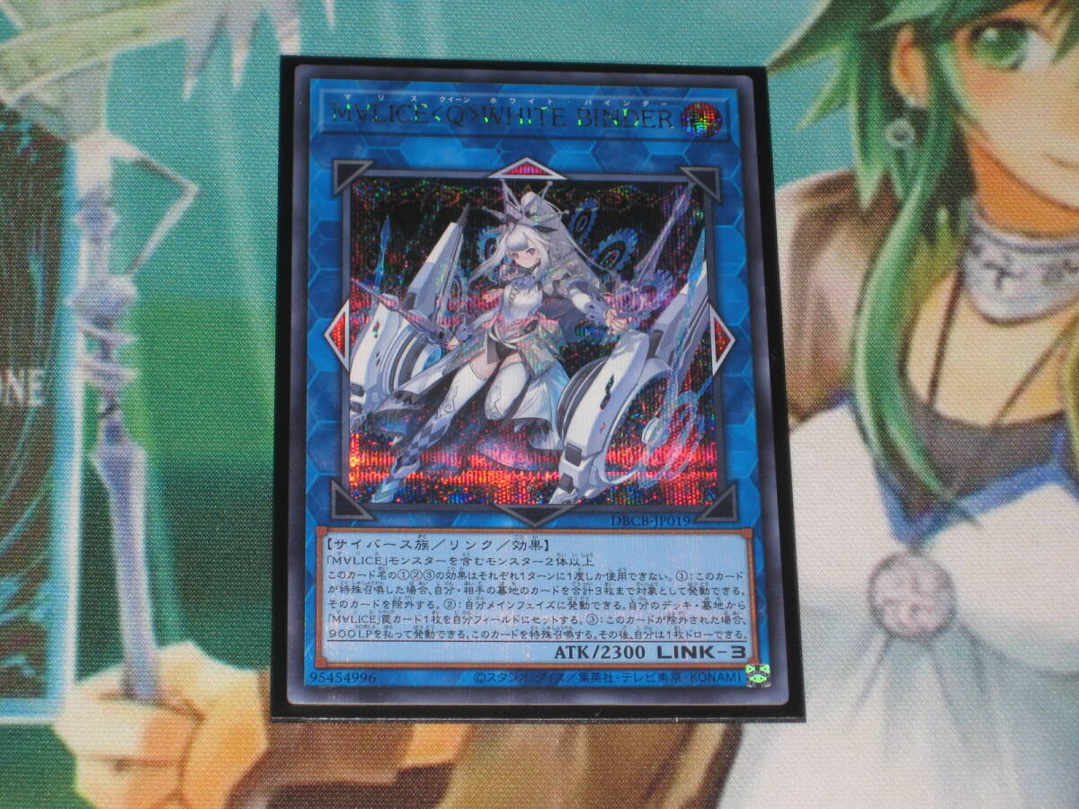 遊戯王 DBCB【M∀LICE＜Q＞WHITE BINDER】シークレット 即決