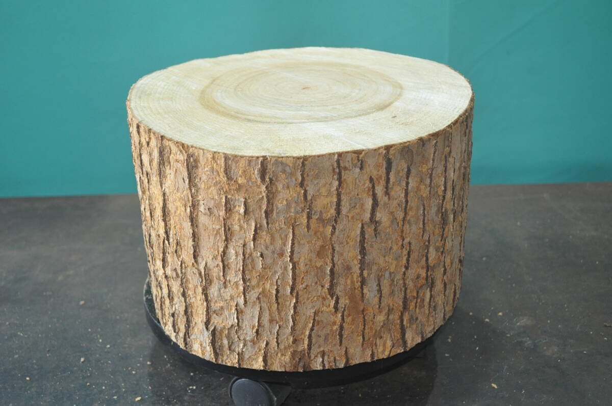  robust . safe crack not firewood tenth pcs ( not yet grinding ) working bench, decoration pcs,. on . pcs, camp,bato person g.. fragrance high Kyushu production tree product 2111