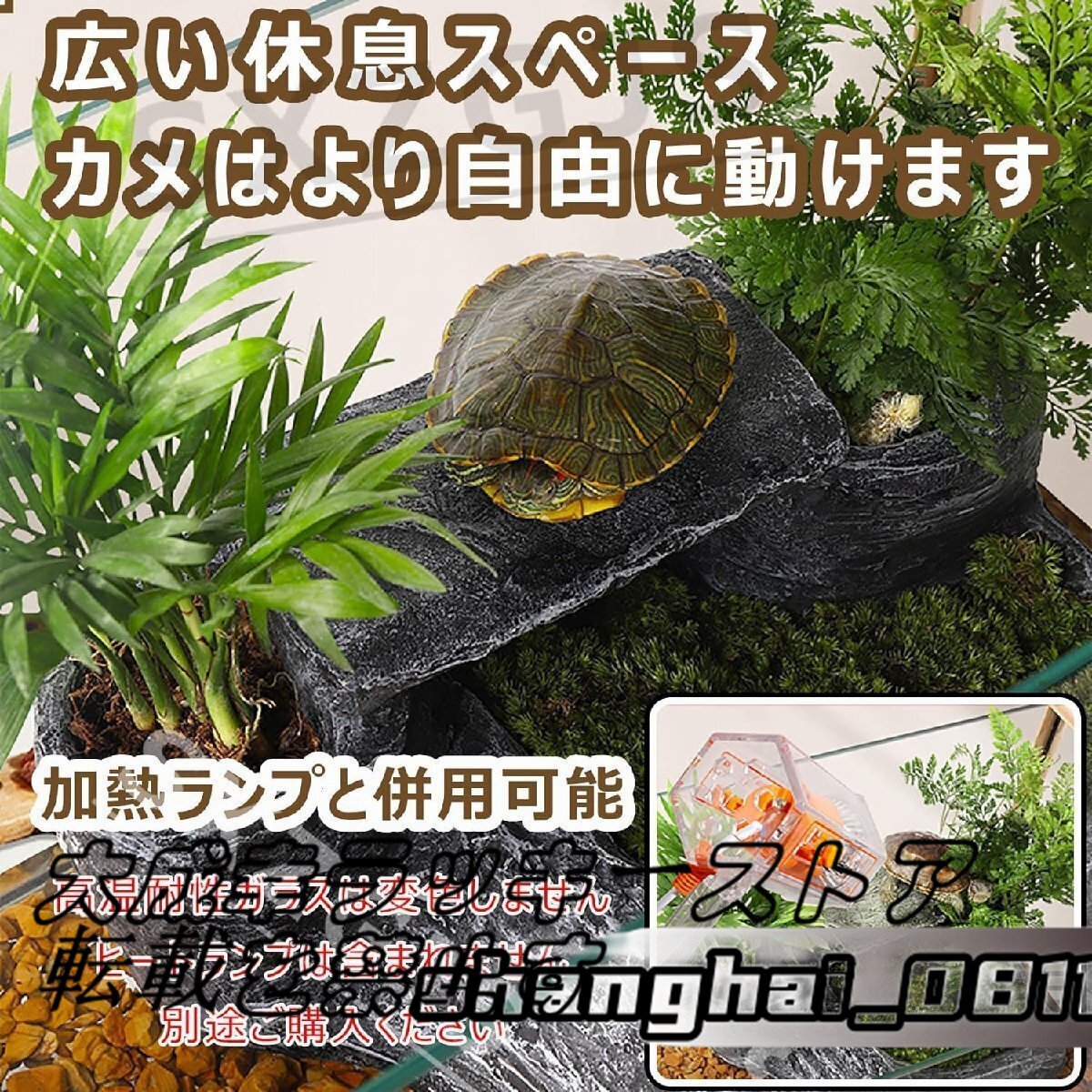 強くお勧め★ 亀 水槽 大きい ガラス ボックス 80x28x27cm カメの水槽 タートルタンク 排水管付き 日向ぼっこ臺 爬蟲類 両生類 亀観察飼育