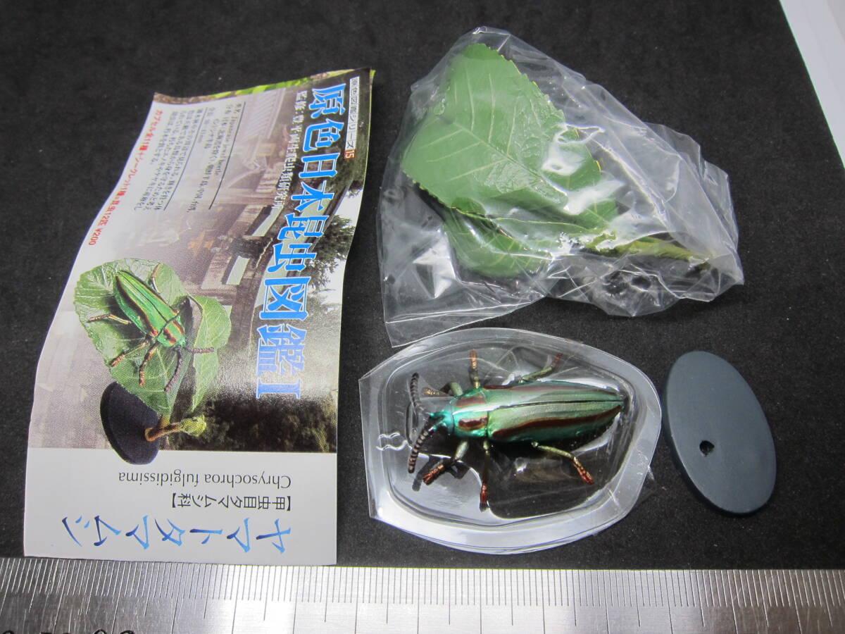 現状品 未使用+非売品 YUJIN 原色図鑑シリーズ 原色昆虫類甲虫 現状品 未使用+非売品 YUJIN 原色図鑑シリーズ 原色昆虫類甲虫