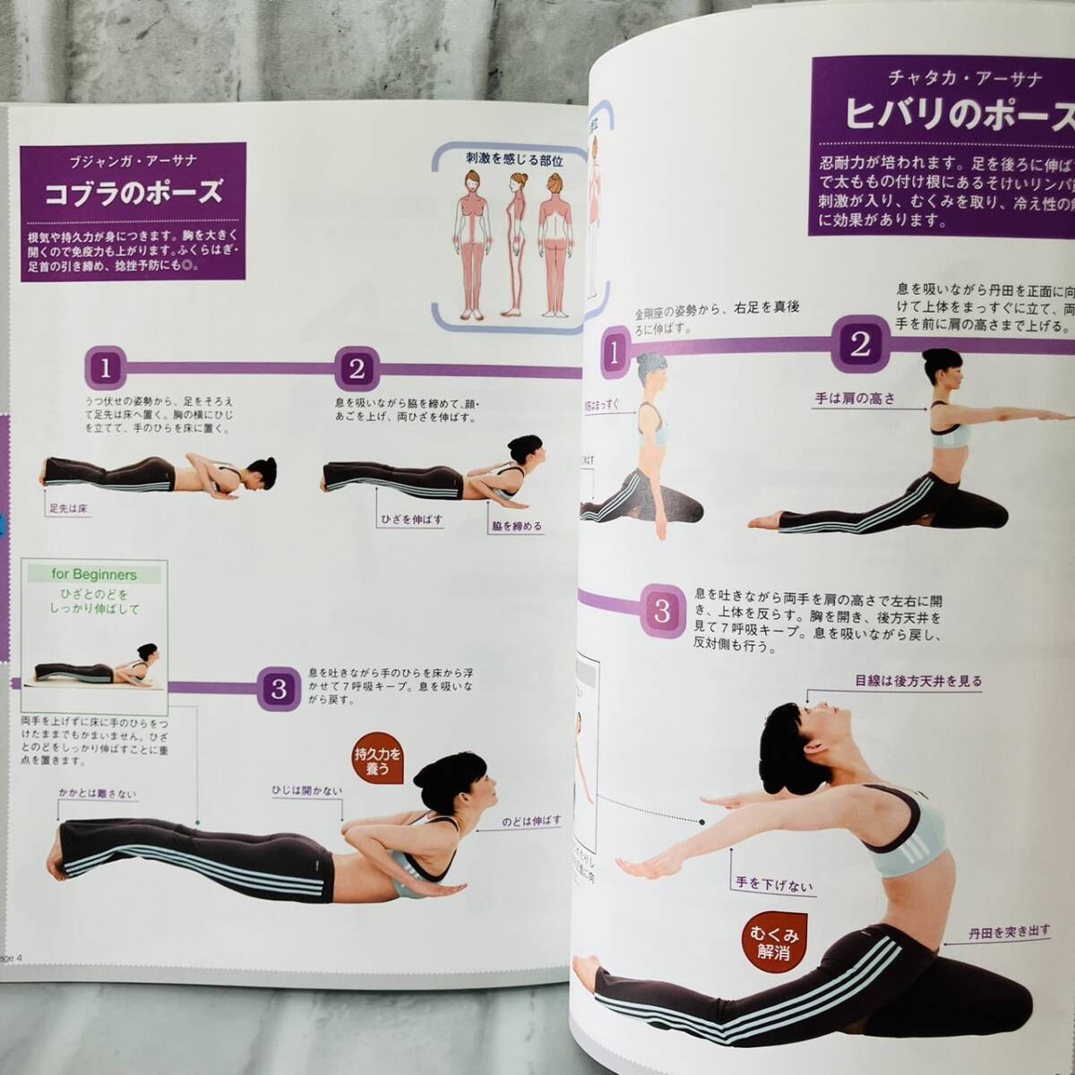  журнал максимальная скорость!.... диета * йога глубокий . подлинный . прекрасный йога движение здоровье хобби диета DVDbook коричневый kla Poe z Shape старая книга 10023