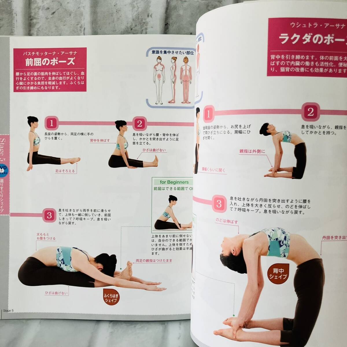  журнал максимальная скорость!.... диета * йога глубокий . подлинный . прекрасный йога движение здоровье хобби диета DVDbook коричневый kla Poe z Shape старая книга 10023