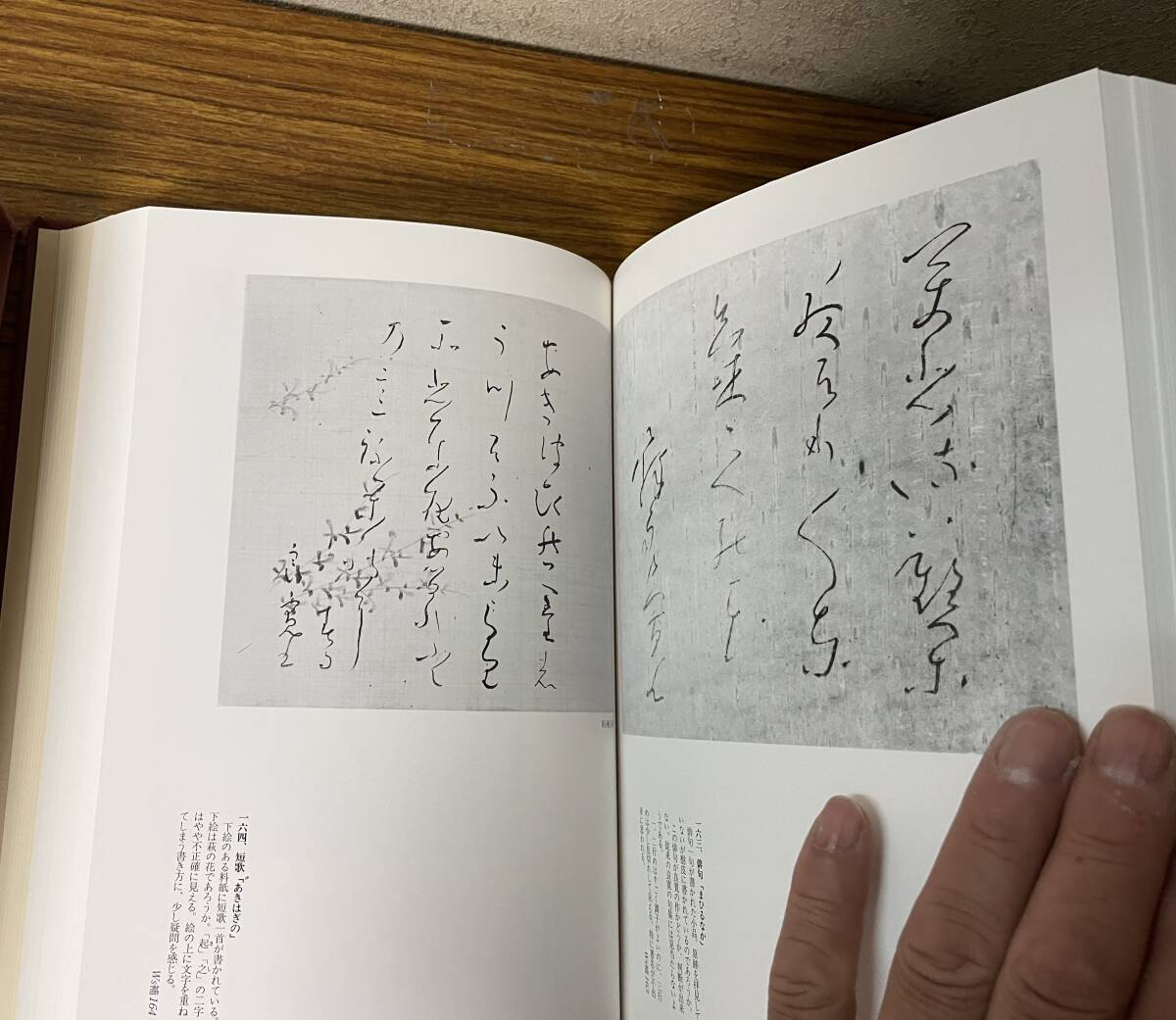 傅山の書法 山内観 編 二玄社 傅山の書法 伝山の書法 傳山の書法
